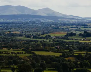 Carbon footprinting Irish farms