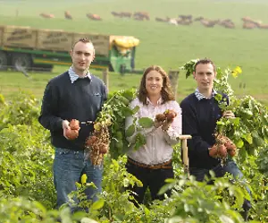 Accreditation and Verification