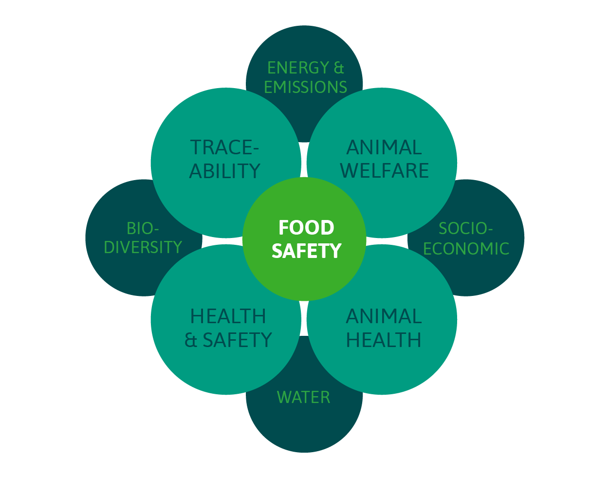 Energy Emissions, Traceability, Animal Welfare, Biodiversity,Food Safety, Socio Economic, Health & Safety, Animal Health, Water